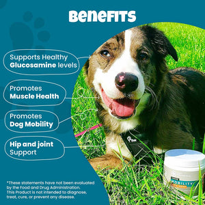 Glucosamine for Dogs + Hemp Mobility
