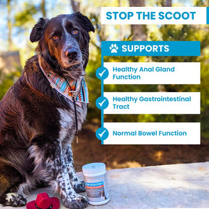 Stop Scooting for Dogs