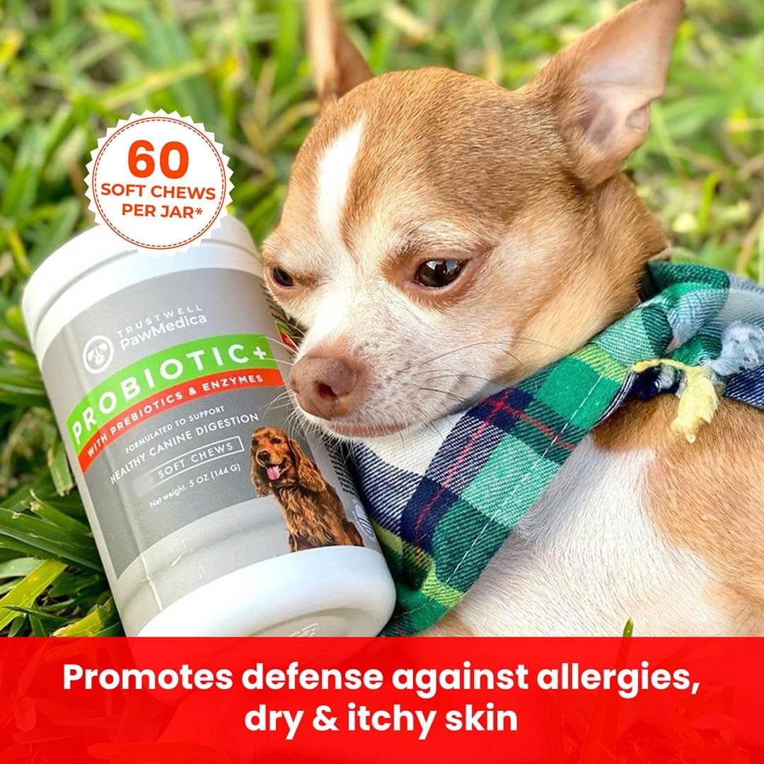 Dog Probiotics & Digestive Enzymes
