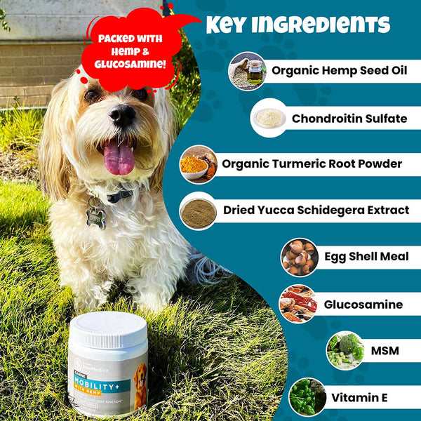Load image into Gallery viewer, Glucosamine for Dogs + Hemp Mobility