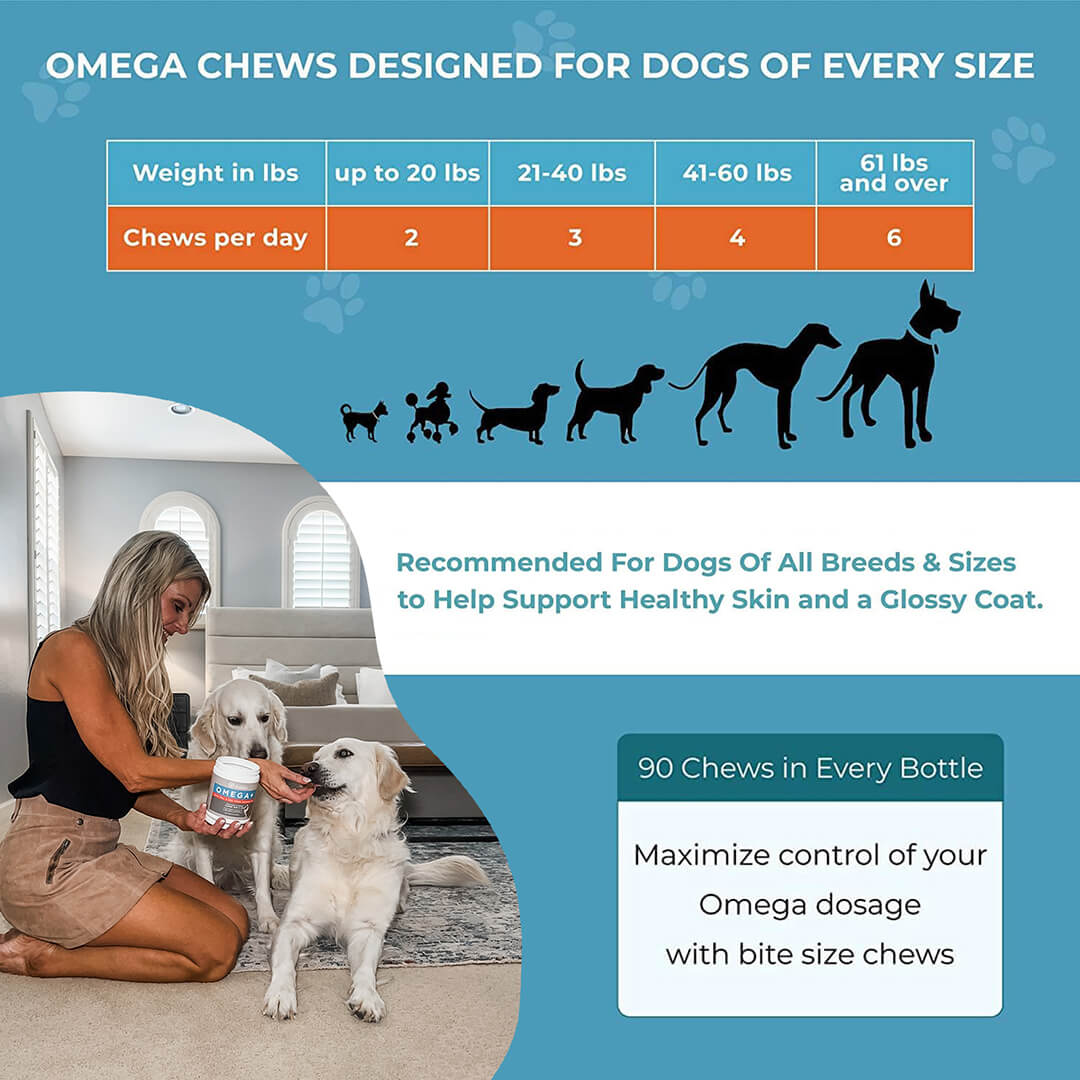 Omega Skin & Coat Chews for Dogs