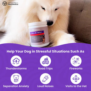 Calming Treats for Dogs