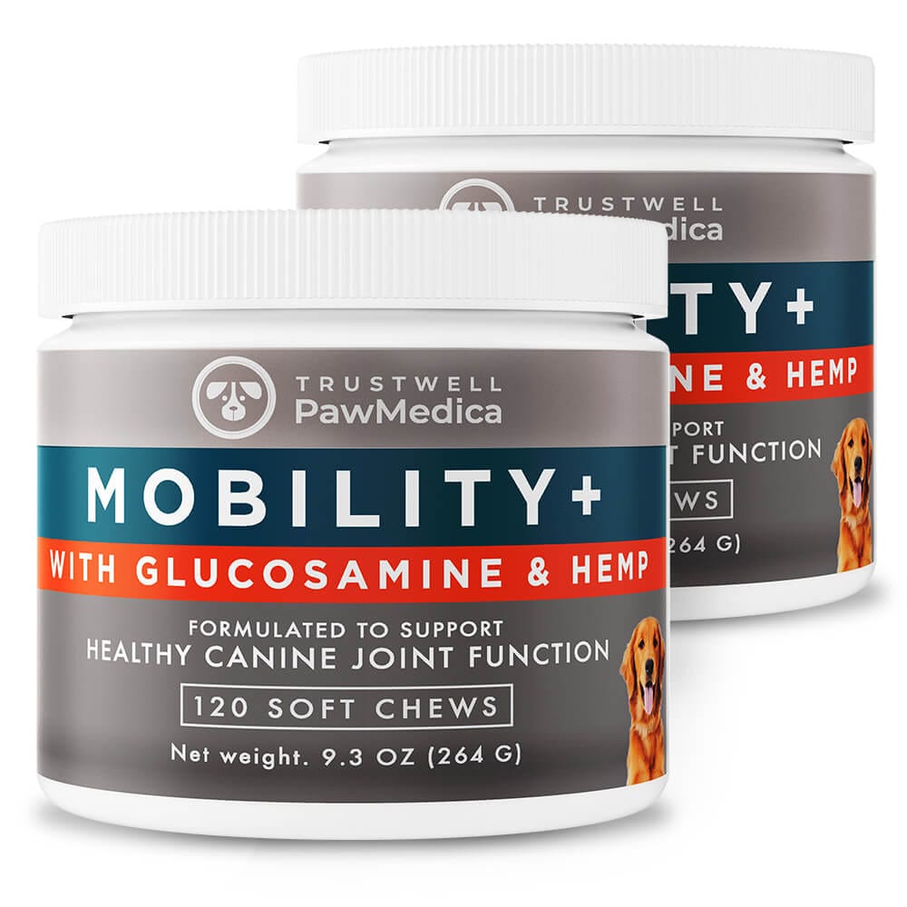 Glucosamine Chews for Dogs - 2x