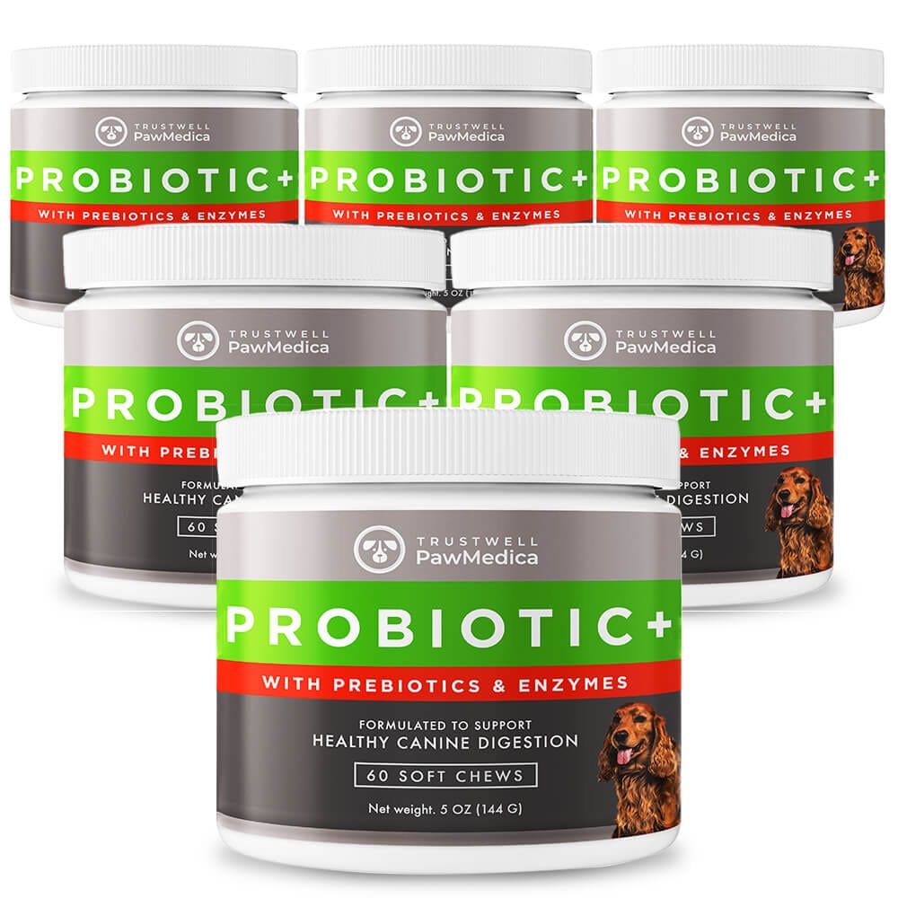 Dog Probiotics & Digestive Enzymes
