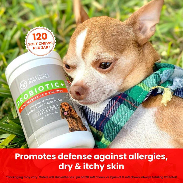 Load image into Gallery viewer, Dog Probiotics &amp; Digestive Enzymes - (120ct)