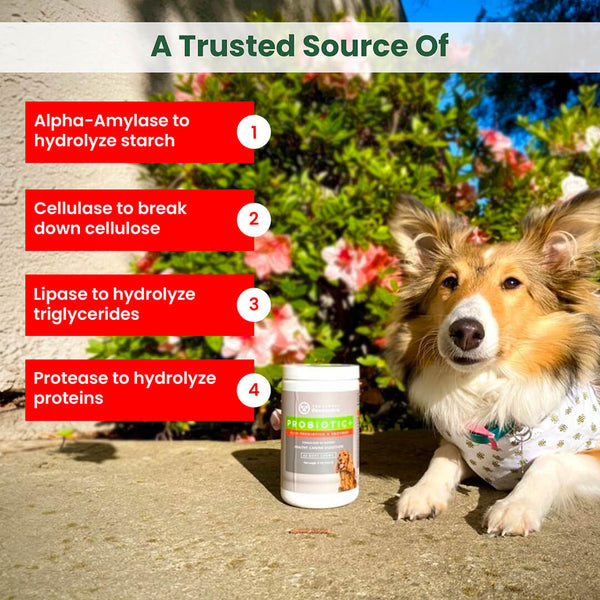 Load image into Gallery viewer, Dog Probiotics &amp; Digestive Enzymes