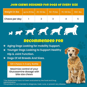 Glucosamine Chews for Dogs - 2x